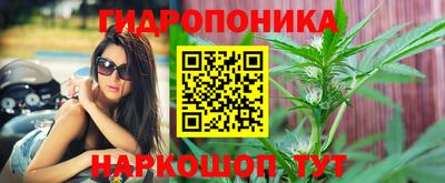 шишки Мариинск