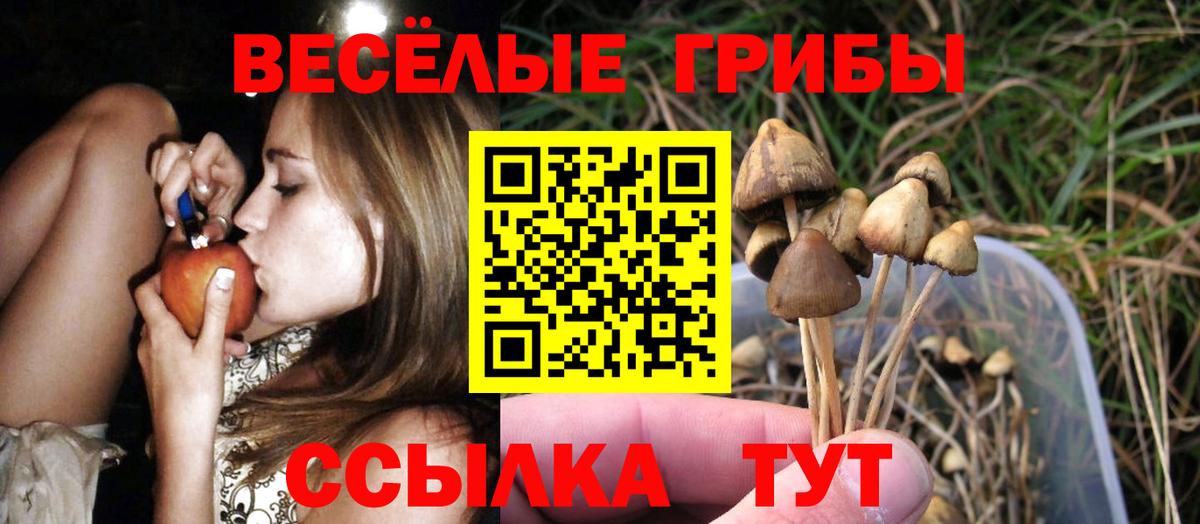 Юрга  Галлюциногенные грибы Psilocybine cubensis  Вход с VPN 